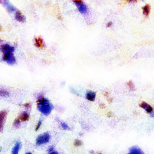 欧美孕妇交受❌❌❌高潮1
